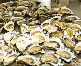 Wheelers Oysters - Gold Coast Attractions 0