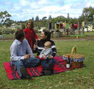 Blackbutt Forest Reserve - Gold Coast Attractions