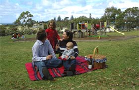 Blackbutt Forest Reserve - Gold Coast Attractions 0