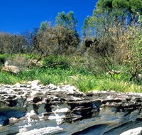 Abrahams Bosom Reserve - Gold Coast Attractions