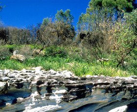 Abrahams Bosom Reserve - Gold Coast Attractions 0