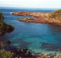 Bass Point Reserve - Gold Coast Attractions