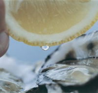 Pearly Oyster Bar and Farm - Gold Coast Attractions