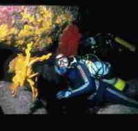 Solitary Islands Marine Park - Gold Coast Attractions