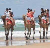 Camel Rides with Coffs Coast Camels - Gold Coast Attractions