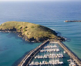 Muttonbird Island Nature Reserve - Gold Coast Attractions 0