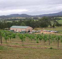 Villa d Esta Vineyard - Gold Coast Attractions