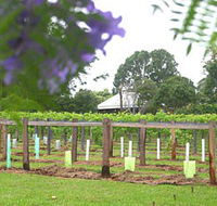 Douglas Vale Historic Homestead  Vineyard - Gold Coast Attractions