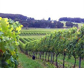 Tallong NSW Gold Coast Attractions