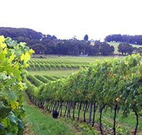 Banjo's Run Winery and Vineyard - Gold Coast Attractions