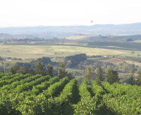 De Salis Wines - Gold Coast Attractions 1
