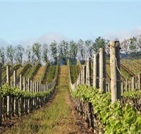 Philip Shaw Wines - Gold Coast Attractions
