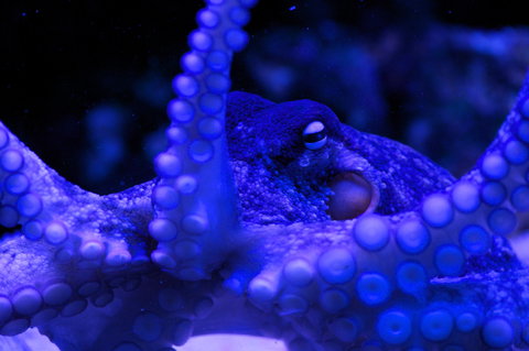 Solitary Islands Aquarium - Gold Coast Attractions 2