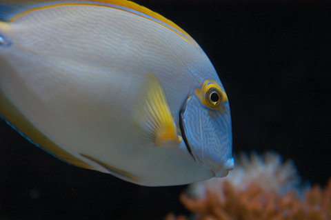 Solitary Islands Aquarium - Gold Coast Attractions 3