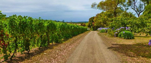 Merricks Estate - Gold Coast Attractions 1