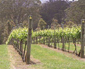 Diamond Creek Estate Cellar Door - Gold Coast Attractions 2