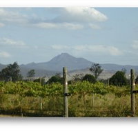 Ironbark Ridge Vineyard - Gold Coast Attractions