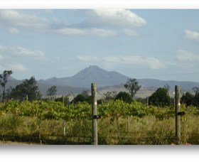 Ironbark Ridge Vineyard - Gold Coast Attractions 0
