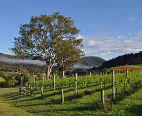 Sarabah Estate Vineyard - Gold Coast Attractions 1