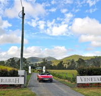 Sarabah Estate Vineyard - Gold Coast Attractions