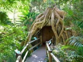 Cedar Creek Estate Vineyard And Winery - Gold Coast Attractions 1