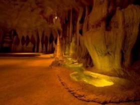 Cedar Creek Estate Vineyard And Winery - Gold Coast Attractions 2