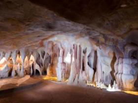 Cedar Creek Estate Vineyard And Winery - Gold Coast Attractions 3