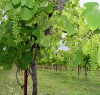 Holland Wines - Gold Coast Attractions