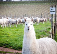 Gemtree Vineyards Cellar Door - Gold Coast Attractions