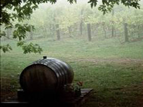 Arranmore Wines - Gold Coast Attractions 2