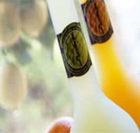 Ambra Limoncello - Gold Coast Attractions