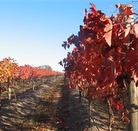 Kooyonga Creek Wines - Gold Coast Attractions