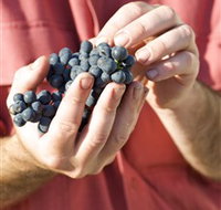 Brown Magpie Wines