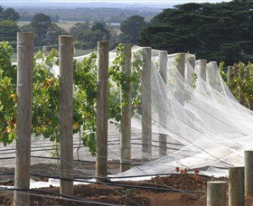 Paradigm Hill - Gold Coast Attractions 1