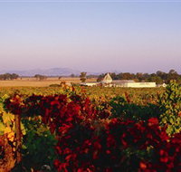 Morris Wines - Gold Coast Attractions