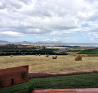 The Hazards Vineyard - Devil's Corner - Gold Coast Attractions