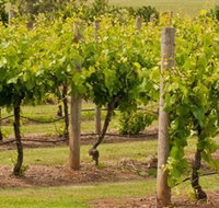 Mt Coghill Vineyard - Gold Coast Attractions