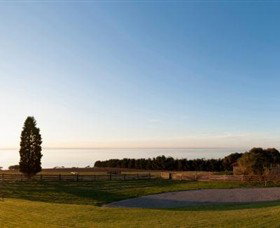 Jack Rabbit Vineyard - Gold Coast Attractions 3