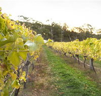 Harcourt Valley Vineyards - Gold Coast Attractions