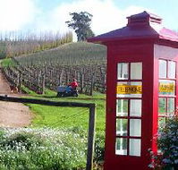 Dalrymple Vineyards - Gold Coast Attractions