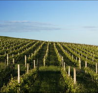 Delamere Vineyard - Gold Coast Attractions