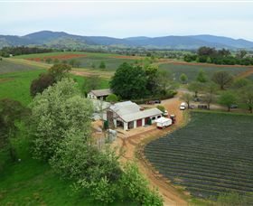 Lake Hume Village VIC Gold Coast Attractions