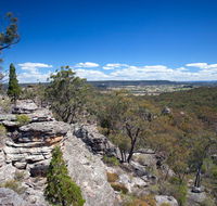 Munghorn Gap Nature Reserve - Gold Coast Attractions