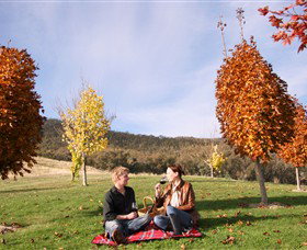 Gapsted Wines - Gold Coast Attractions 5