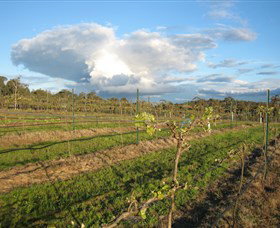 Flyfaire Wines - Gold Coast Attractions 7