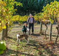 Little River Wines of Taggerty - Gold Coast Attractions