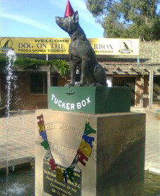 The Dog On The Tucker Box - Gold Coast Attractions 1