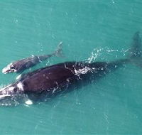 Fazshot Photography - Gold Coast Attractions