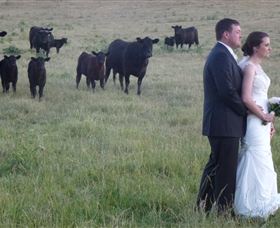 Athol Gardens - Gold Coast Attractions 2