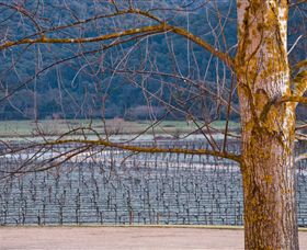 Chrismont - Gold Coast Attractions 4